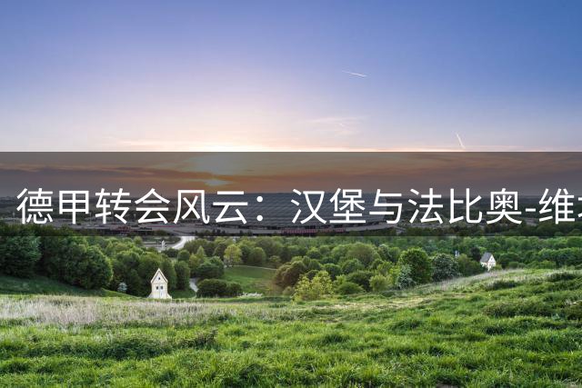 德甲转会风云：汉堡与法比奥-维埃拉谈判陷入僵局 双方各不相让