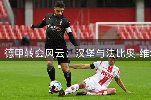 德甲转会风云：汉堡与法比奥-维埃拉谈判陷入僵局 双方各不相让